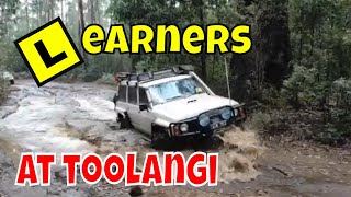 Beginnerfriendly Toolangi 4x4 Tracks Near Melbourne [upl. by Alekahs]