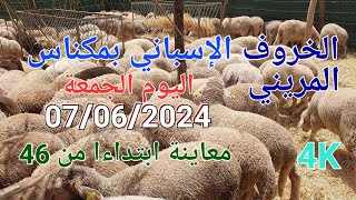 أثمنة الخروف الإسباني مكناس اليوم الجمعة 07062024 [upl. by Adnalor]