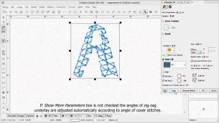 Machine Embroidery Digitizing  Embird Studio  Parameters of Plain Fill  Part 2 [upl. by Christyna]