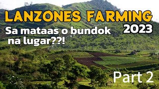 LANZONES FARMING Successful Farm  Lanzones NativequotPaetequot variety farming in Oriental mindoro [upl. by Sualokin401]