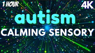 Autism Calming Sensory Meltdown Remedy Soothing Visuals [upl. by Naelopan]