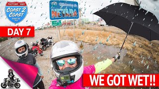 Honda Groms vs RAINin the DESERT [upl. by Luz]