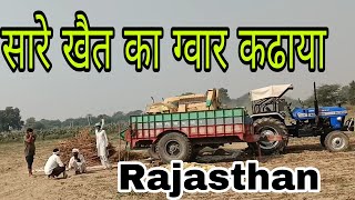 पुरे खैत का ग्वार निकलवाया dharmenerswami9274 pure khet ka gvar niklvaya you tyub video [upl. by Leoline]