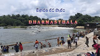 Nethravathi River Dharmasthala Bathing in Nethravathi River nethravathi river today Dharmasthala [upl. by Ellenod371]