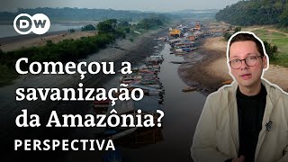 Globo Repórter  Amazônia Secreta Parte 1 [upl. by Bust741]