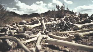 Dry Bones [upl. by Roxie]