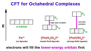 Stable and Unstable Nuclei  Radioactivity  Physics  FuseSchool [upl. by Aiclef307]