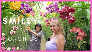 Smiley Orchids nursery tour Beautiful Vandas in Bloom [upl. by Ennoid]