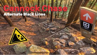 Cannock Chase MTB Monkey Black run and downhill sections [upl. by Elynad]