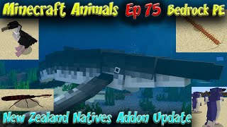 New Zealand Natives Addon Update Minecraft Bedrock Addon PE Addon 60FPS 4K Animals EP75 [upl. by Rosinski]