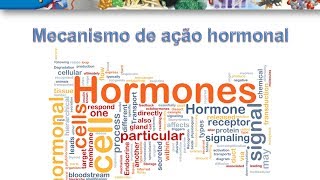 Curso de Bioquimica Mecanismo de ação hormonal [upl. by Eloisa]