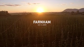 Farnham  Bitter Sounds [upl. by Arot188]