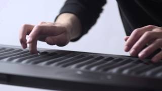 Introducing the Seaboard [upl. by Yantruoc]