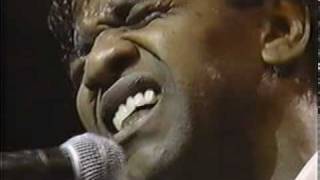 Al Green  Everythings Gonna Be Alright Live 1990 [upl. by Yelhs]