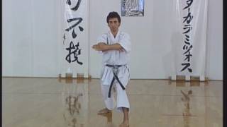 Shotokan  Heian Yondan [upl. by Aubarta]