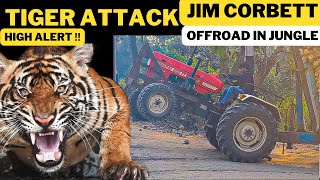 Tiger Attack In Jim Corbett  Dhela Range  High Alert In Corbett [upl. by Laehctim]