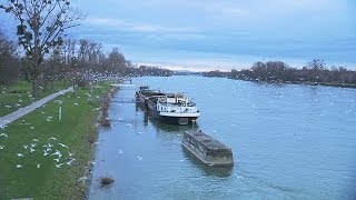 Eco  Erfolg in BadenWürttemberg Niedergang im Elsass [upl. by Lemahs]