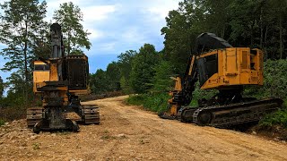 Tigercat LX830E amp LX830C A years worth of logging for Metzler Forest Products [upl. by Anwaf]