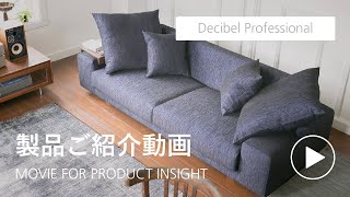 Decibel Professional 高い品質とスタイリッシュな意匠 [upl. by Eamanna]