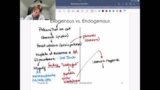 Exogenous vs Endogenous Protein Degradation [upl. by Ashlie]