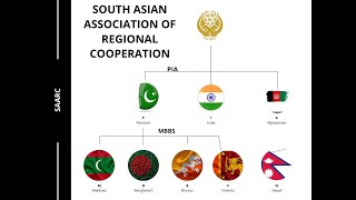 saarc and role of pakistan csssaarc organization in urdusaarc organization 2021 [upl. by Suhploda221]