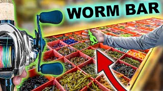 We Discovered The Ultimate Fishing Store WORM BAR with Wholesale Fishing Tackle [upl. by Nyloc]