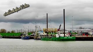 YE 23 JANNE YERSEKE Muslingeskraber Muschelkutter fishing vessel for mussles Hooksiel Germany [upl. by Steck]