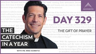 Day 254 Social Justice — The Catechism in a Year with Fr Mike Schmitz [upl. by Ragouzis50]