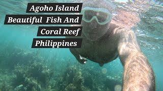 Agoho Island 🏝 Philippines Come Enjoy The Incredible Beauty 😃 [upl. by Einnaf]