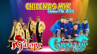 Grupo Galope ft Grupo Caballo de Oro  Puras Chilenas De Oaxaca Mix  Chilenas Nuevas 2024 [upl. by Ahsil786]