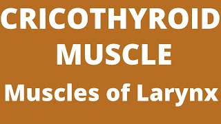 Cricothyroid Muscle muscles of larynx [upl. by Aneala]