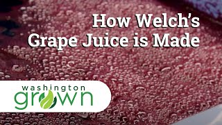 How Welchs Grape Juice Is Made  Washington Grown [upl. by Dolly]