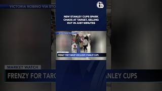 New limitededition Starbucks Stanley cup tumblers spark chaos at Target stanleycup [upl. by Jeanne]