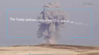 What is the Treaty on the NonProliferation of Nuclear Weapons [upl. by Heise]