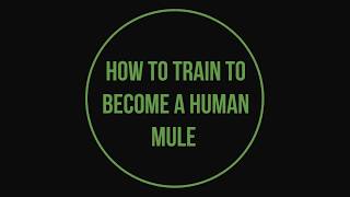 How to train to become a human mule [upl. by Ahtibat]