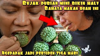 GAW4T RUJAK DURIAN MINI BIKIN HALV 3 HARI [upl. by Akerue843]