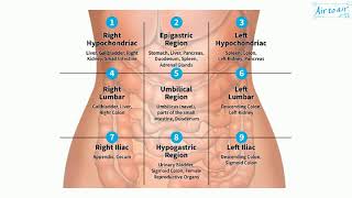 umbilical region [upl. by Etteraj]