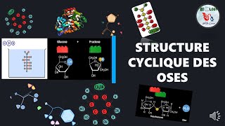 📌Glucides La Structure cyclique des oses  Structure de HAWORTH [upl. by Kele747]