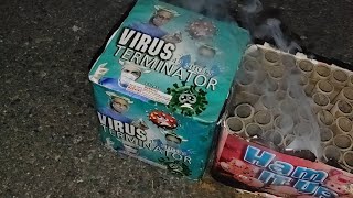 Virus Terminator 49 shots firework [upl. by Ahseet]