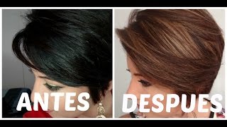 Como tinturar tu pelo con mechas  How to dye your hair at home  Highlights [upl. by Aroda]