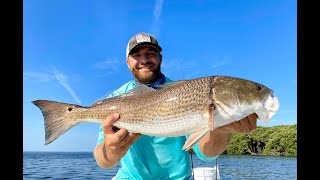 How to Catch Redfish Snook and Trout in Crystal River Ozello Homosassa [upl. by Zuzana148]