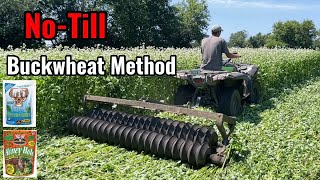 NoTill Brassica Food Plot into Buckwheat Method [upl. by Izogn434]