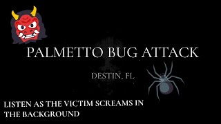 Palmetto Bug Attack Destin FL [upl. by Teferi]