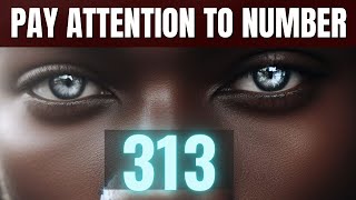 Why Youre Seeing 313  Angel Number 313 Meaning Love  Twin Flame Bible Verse [upl. by Sineray]