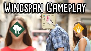 Wingspan Gameplay  Where should the House Finch go [upl. by Eidlog]