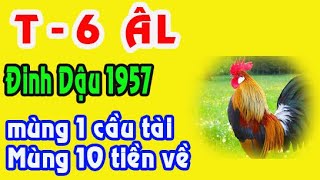 SỰ THẬT TUYỆT VỜI TUỔI Đinh Dậu 1957 tháng 6 năm 2024 ts [upl. by Luoar]