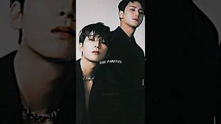 MinWon forever😳🔥 mingyu wonwoo youtubeshorts [upl. by Canada]