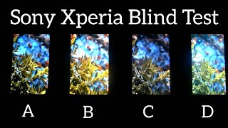 BLIND TEST Two 4K vs QHD vs FHD  Xperia Screen Resolution Comparison [upl. by Airlee855]