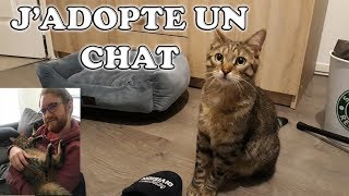 JADOPTE UN CHAT [upl. by Llerrom]