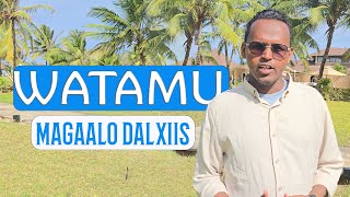 WATAMU MAGAALO DALXIIS  OUR FAVOURITE PLACE IN KENYA [upl. by Daisi]